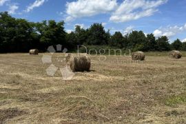 Centar Marčane, kuća / stambeno-poslovni prostor, Marčana, Коммерческая недвижимость