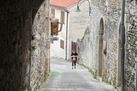 Građevinsko zemljište sa glavnim projektom za kuću sa bazenom, Buje, Terrain