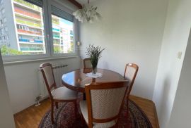 STAN, NAJAM, ZAGREB, GORNJA DUBRAVA, 47 m2, 2-soban, Gornja Dubrava, Daire