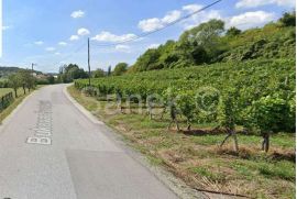 Građevinsko zemljište - Sveta Jana, Jastrebarsko - Okolica, Land