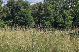 ISTRA, TINJAN - Zemljište za gradnju obiteljskog doma na rubu naselja, Tinjan, Tierra