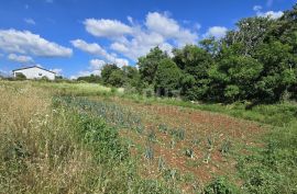 ISTRA, TINJAN - Zemljište za gradnju obiteljskog doma na rubu naselja, Tinjan, Tierra