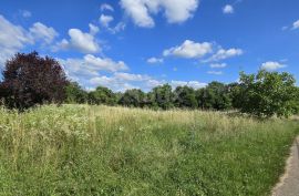 ISTRA, TINJAN - Zemljište za gradnju obiteljskog doma na rubu naselja, Tinjan, Land