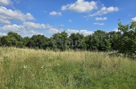 ISTRA, TINJAN - Zemljište za gradnju obiteljskog doma na rubu naselja, Tinjan, Zemljište