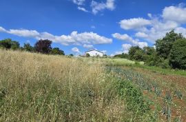 ISTRA, TINJAN - Zemljište za gradnju obiteljskog doma na rubu naselja, Tinjan, Land