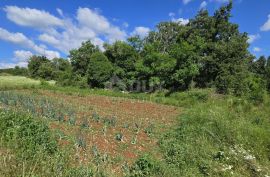 ISTRA, TINJAN - Zemljište za gradnju obiteljskog doma na rubu naselja, Tinjan, Terreno