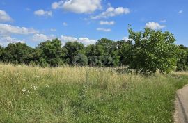 ISTRA, TINJAN - Zemljište za gradnju obiteljskog doma na rubu naselja, Tinjan, Terrain