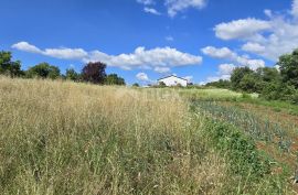 ISTRA, TINJAN - Zemljište za gradnju obiteljskog doma na rubu naselja, Tinjan, Terrain