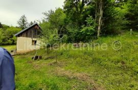 OTOČAC - Glavace - seosko gospodarstvo, 2 kuće i zemljište 40.000 m2, Otočac, House