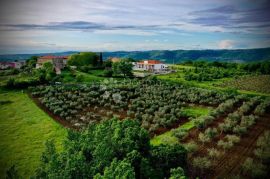 RASKOŠNA VILLA S POGLEDOM, Vižinada, بيت