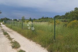 Prostrano poljoprivredno zemljište s priključkom vode, Vodnjan, Terrain