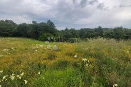 Prostrano poljoprivredno zemljište s priključkom vode, Vodnjan, Terrain