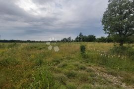 Prostrano poljoprivredno zemljište s priključkom vode, Vodnjan, Terrain