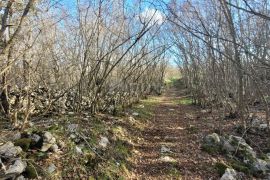 OTOK KRK, GARICA - Veliko Poljoprivredno zemljište s pristupom za auto 5km od grada Krka!, Vrbnik, Земля