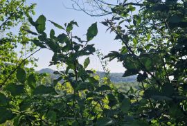 ISTRA, CEROVLJE - Građevinsko zemljište s otvorenim pogledom na zelenilo, Cerovlje, Terreno