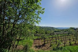 ISTRA, CEROVLJE - Građevinsko zemljište s otvorenim pogledom na zelenilo, Cerovlje, Γη