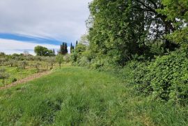 ISTRA, CEROVLJE - Građevinsko zemljište s otvorenim pogledom na zelenilo, Cerovlje, Terreno