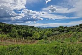 ISTRA, CEROVLJE - Građevinsko zemljište s otvorenim pogledom na zelenilo, Cerovlje, Terreno