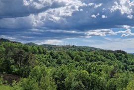 ISTRA, CEROVLJE - Građevinsko zemljište s otvorenim pogledom na zelenilo, Cerovlje, Terreno