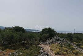 OTOK KRK, GRAD KRK - Maslinik sa gospodarskim objektom, Krk, Γη