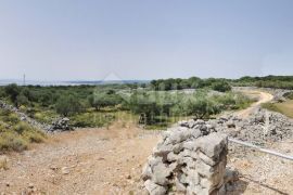 OTOK KRK, GRAD KRK - Maslinik sa gospodarskim objektom, Krk, Land