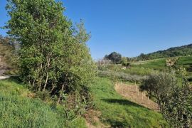 ISTRA, CEROVLJE - Impozantno građevinsko zemljište s maslinama, Cerovlje, Land