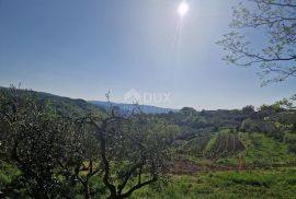 ISTRA, CEROVLJE - Impozantno građevinsko zemljište s maslinama, Cerovlje, Land