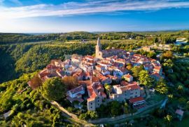 Istra okolica Novigrada luksuzna vila sa bazenom, Grožnjan, Casa