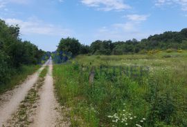 Istra, Rovinj, poljoprivredno zemljište, Rovinj, Terrain