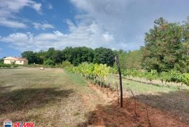 ISTRA, SNAŠIĆI, POLJOPRIVREDNO ZEMLJIŠTE, Sveta Nedelja, Land