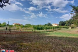 ISTRA, SNAŠIĆI, POLJOPRIVREDNO ZEMLJIŠTE, Sveta Nedelja, Land