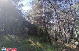 ISTRA,LABIN, OKOLICA, 2,8 HA, Kršan, Land