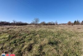 ISTRA, ŠUMBER, GRAĐEVINSKO ZEMLJIŠTE SA OTVORENIM POGLEDOM, Sveta Nedelja, Tierra