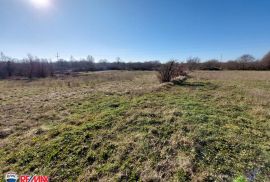 ISTRA, ŠUMBER, GRAĐEVINSKO ZEMLJIŠTE SA OTVORENIM POGLEDOM, Sveta Nedelja, Land