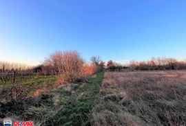 ISTRA, NEDEŠĆINA, POLJOPRIVREDNO ZEMLJIŠTE, Sveta Nedelja, Land