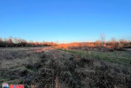 ISTRA, NEDEŠĆINA, POLJOPRIVREDNO ZEMLJIŠTE, Sveta Nedelja, Land