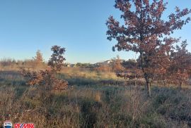 ISTRA, UMAG, GRAĐEVINSKO ZEMLJIŠTE, 800 M OD MORA, Umag, Terrain