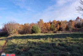 ISTRA,LABIN, STANCIJA SA 21,7 HA ZEMLJIŠTA, Labin, بيت