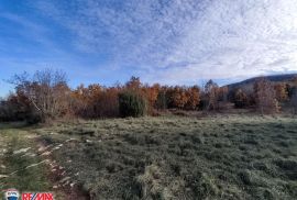 ISTRA,LABIN, STANCIJA SA 21,7 HA ZEMLJIŠTA, Labin, Kuća