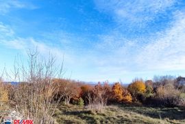 ISTRA,LABIN, STANCIJA SA 21,7 HA ZEMLJIŠTA, Labin, Kuća