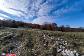 ISTRA,LABIN, STANCIJA SA 21,7 HA ZEMLJIŠTA, Labin, Σπίτι