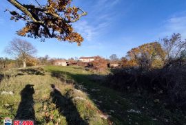 ISTRA,LABIN, STANCIJA SA 21,7 HA ZEMLJIŠTA, Labin, Kuća