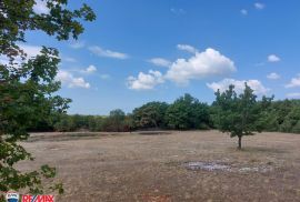 ISTRA, SVETI LOVREČ, GRAĐEVINSKO ZEMLJIŠTE NA RUBU SELA, Sveti Lovreč, Terrain