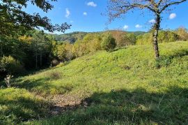 ISTRA, BOLJUN, KUĆA OKRUŽENA SA 4Ha POLJ.ZEMLJIŠTA, Lupoglav, Haus