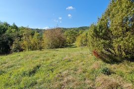 ISTRA, BOLJUN, KUĆA OKRUŽENA SA 4Ha POLJ.ZEMLJIŠTA, Lupoglav, Haus