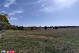 ISTRA,BARBAN,OKOLICA ZEMLJIŠTE GRAĐEVINSKO I POLJOPRIVREDNO, Barban, Terrain