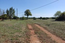 ISTRA,BARBAN,OKOLICA ZEMLJIŠTE GRAĐEVINSKO I POLJOPRIVREDNO, Barban, Terrain