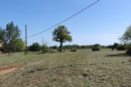 ISTRA,BARBAN,OKOLICA ZEMLJIŠTE GRAĐEVINSKO I POLJOPRIVREDNO, Barban, Terrain