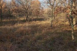 ISTRA,LABIN, ŠUMBER, POLJOPRIVREDNO ZEMLJIŠTE 48500 M2, Sveta Nedelja, Land