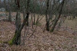 ISTRA,LABIN, ŠUMBER, POLJOPRIVREDNO ZEMLJIŠTE 48500 M2, Sveta Nedelja, Terrain